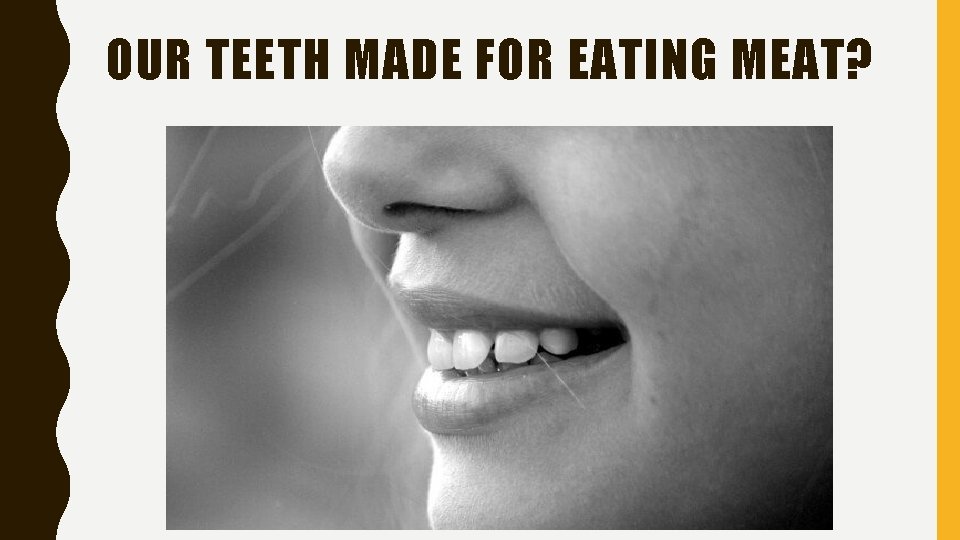 OUR TEETH MADE FOR EATING MEAT? 