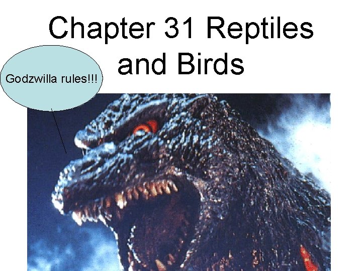Chapter 31 Reptiles and Birds Godzwilla rules!!! 