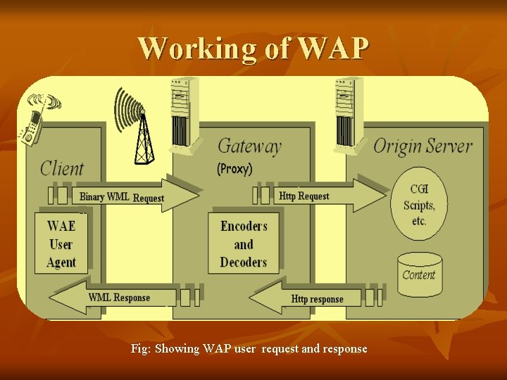 Working of WAP Fig: Showing WAP user request and response 