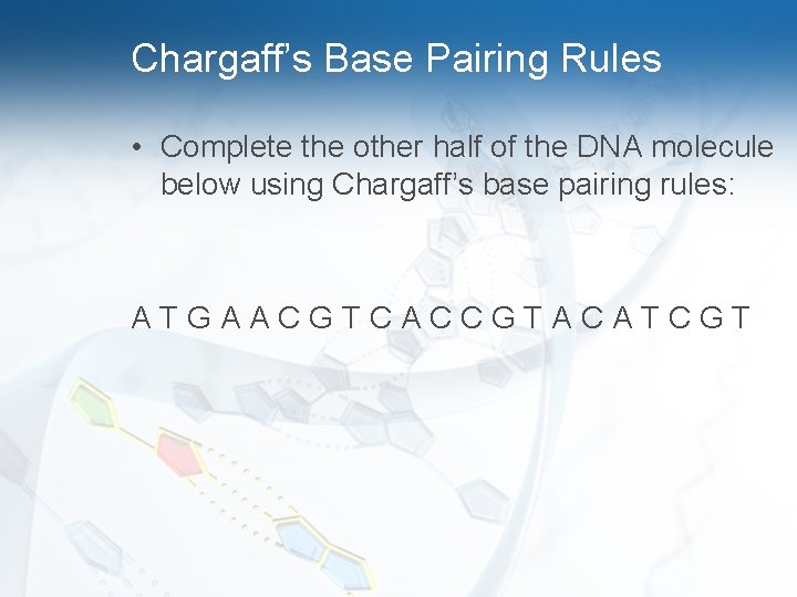 Chargaff’s Base Pairing Rules • Complete the other half of the DNA molecule below