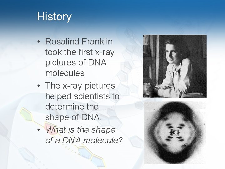 History • Rosalind Franklin took the first x-ray pictures of DNA molecules • The