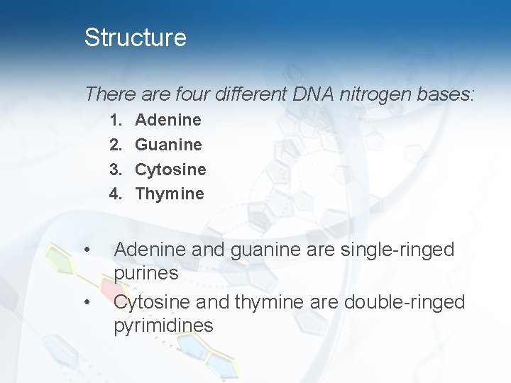 Structure There are four different DNA nitrogen bases: 1. 2. 3. 4. • •