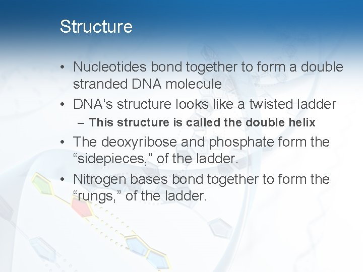 Structure • Nucleotides bond together to form a double stranded DNA molecule • DNA’s