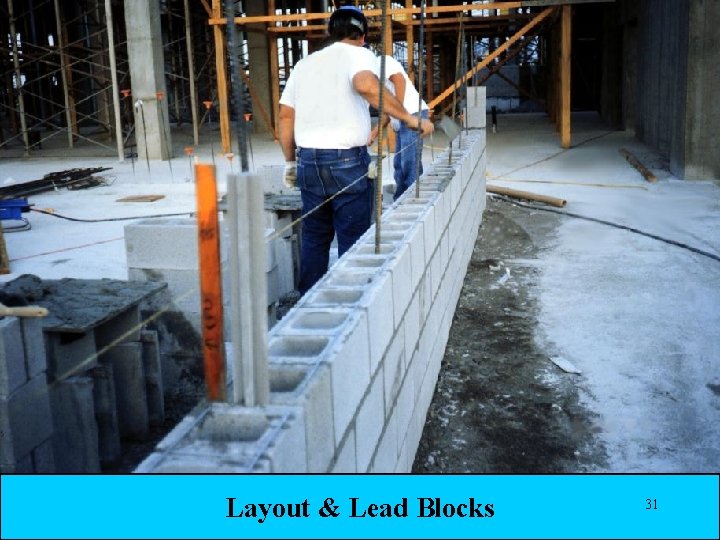 Layout & Lead Blocks 31 