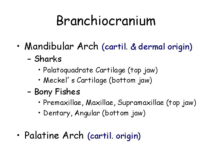 Branchiocranium • Mandibular Arch (cartil. & dermal origin) – Sharks • Palatoquadrate Cartilage (top