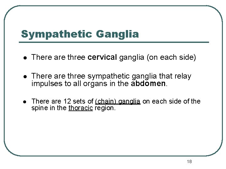 Sympathetic Ganglia l There are three cervical ganglia (on each side) l There are