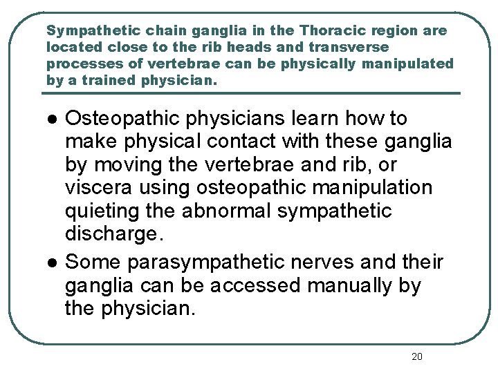 Sympathetic chain ganglia in the Thoracic region are located close to the rib heads