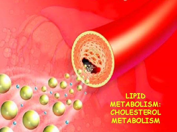 LIPID METABOLISM: CHOLESTEROL METABOLISM 