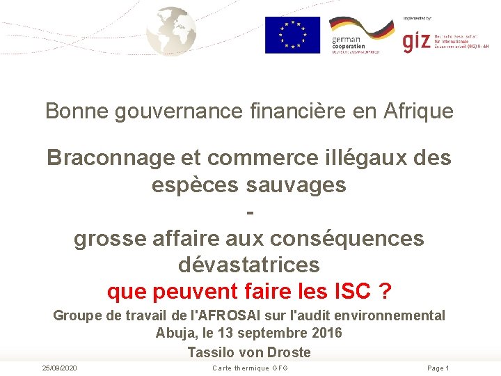 Bonne gouvernance financière en Afrique Braconnage et commerce illégaux des espèces sauvages - grosse