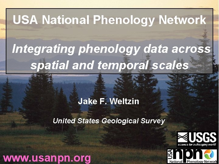 USA National Phenology Network Integrating phenology data across spatial and temporal scales Jake F.