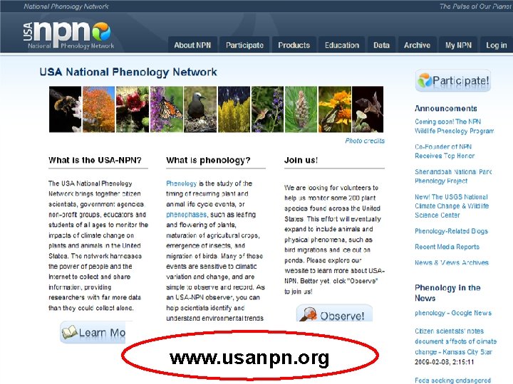 www. usanpn. org 