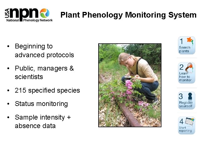 Plant Phenology Monitoring System • Beginning to advanced protocols • Public, managers & scientists