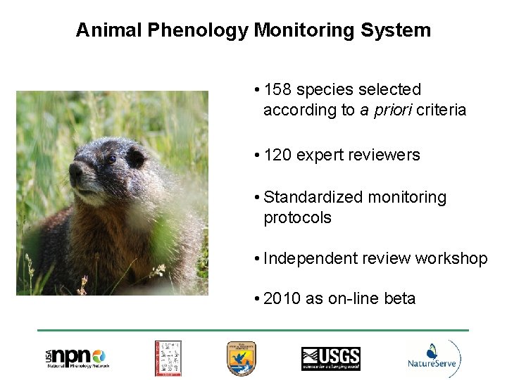 Animal Phenology Monitoring System • 158 species selected according to a priori criteria •