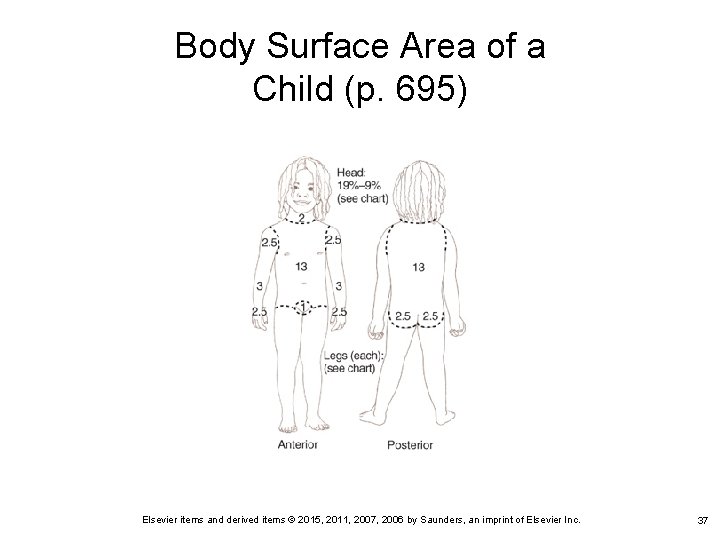 Body Surface Area of a Child (p. 695) Elsevier items and derived items ©