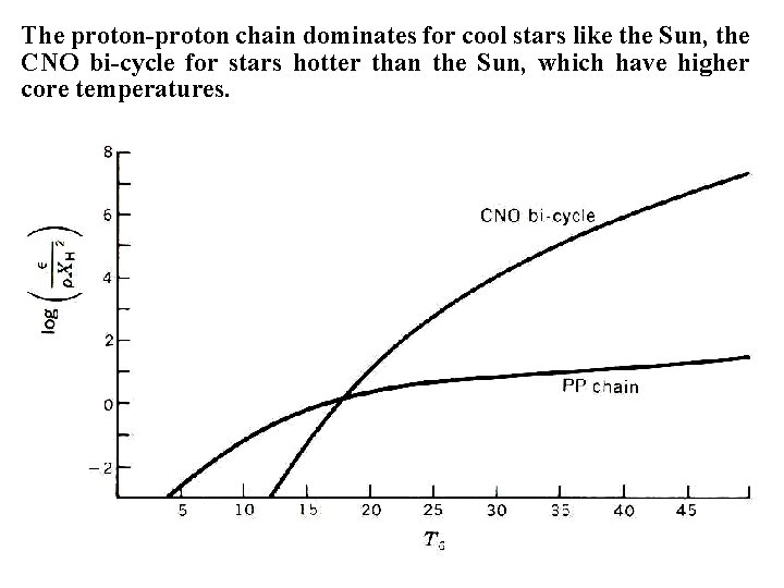 The proton-proton chain dominates for cool stars like the Sun, the CNO bi-cycle for