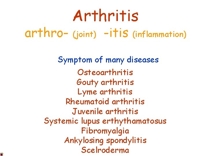 Arthritis arthro- (joint) -itis (inflammation) Symptom of many diseases Osteoarthritis Gouty arthritis Lyme arthritis