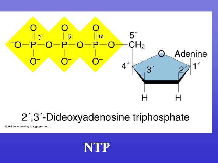  NTP 