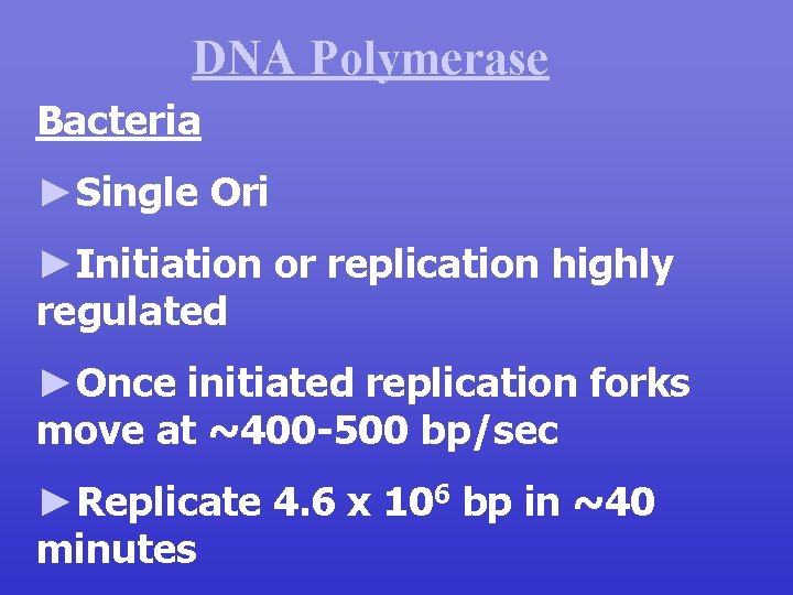 DNA Polymerase Bacteria ►Single Ori ►Initiation or replication highly regulated ►Once initiated replication forks