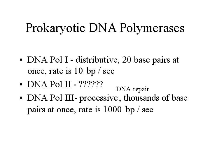 DNA repair 