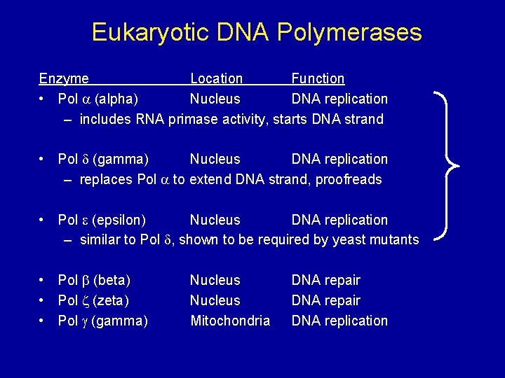 Eukaryotic DNA Polymerases Enzyme Location Function • Pol (alpha) Nucleus DNA replication – includes