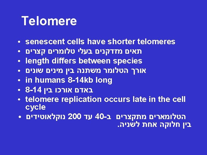 Telomere ● ● ● ● senescent cells have shorter telomeres תאים מזדקנים בעלי טלומרים