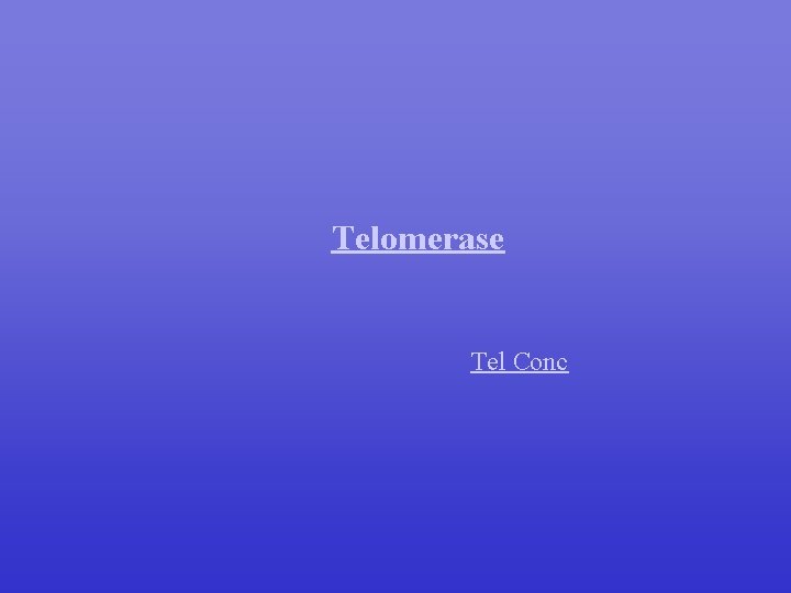 Telomerase Tel Conc 