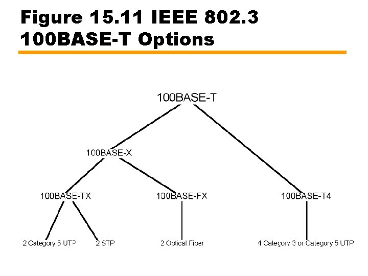 Figure 15. 11 IEEE 802. 3 100 BASE-T Options 