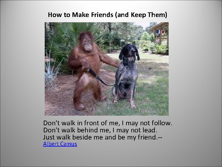 How to Make Friends (and Keep Them) Don't walk in front of me, I