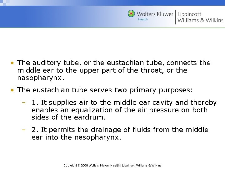  • The auditory tube, or the eustachian tube, connects the middle ear to