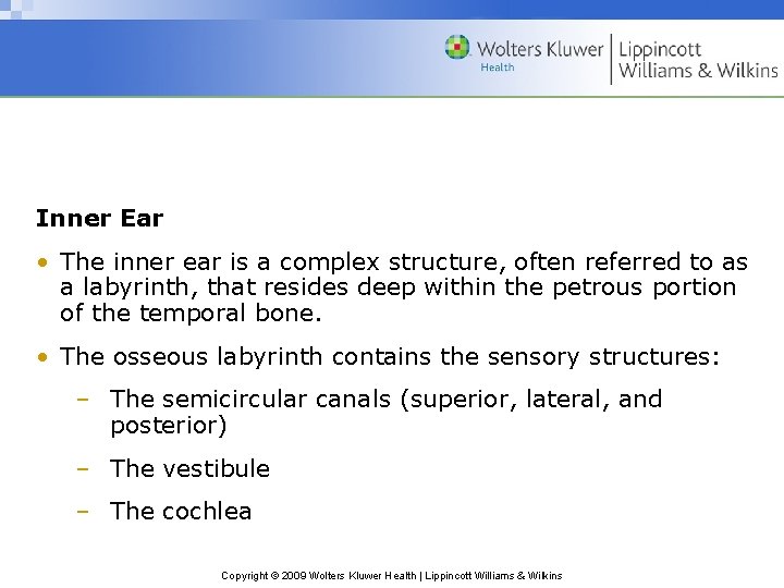 Inner Ear • The inner ear is a complex structure, often referred to as