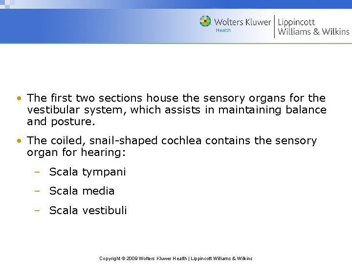  • The first two sections house the sensory organs for the vestibular system,