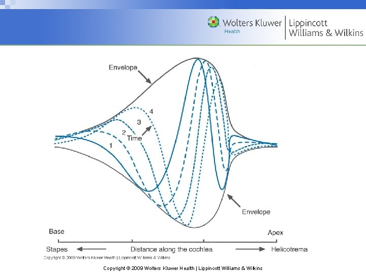 Copyright © 2009 Wolters Kluwer Health | Lippincott Williams & Wilkins 