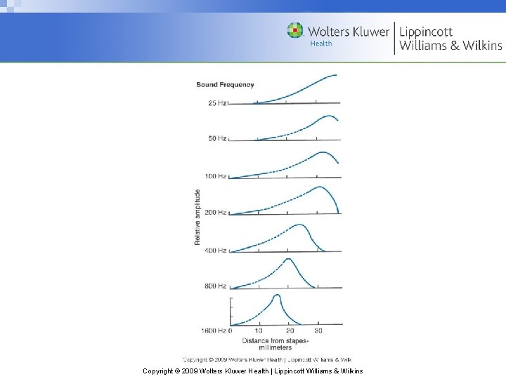 Copyright © 2009 Wolters Kluwer Health | Lippincott Williams & Wilkins 