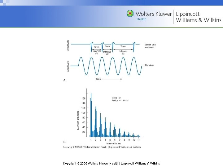 Copyright © 2009 Wolters Kluwer Health | Lippincott Williams & Wilkins 