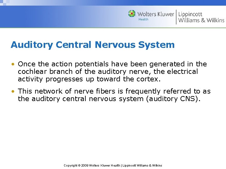 Auditory Central Nervous System • Once the action potentials have been generated in the