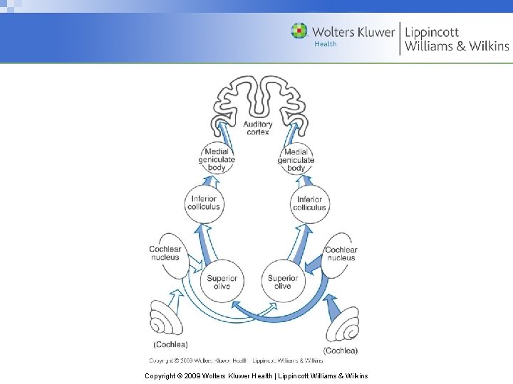 Copyright © 2009 Wolters Kluwer Health | Lippincott Williams & Wilkins 