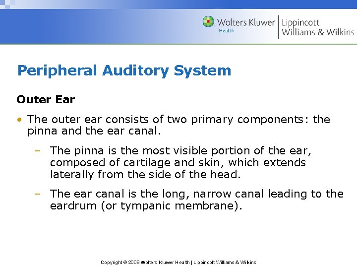 Peripheral Auditory System Outer Ear • The outer ear consists of two primary components:
