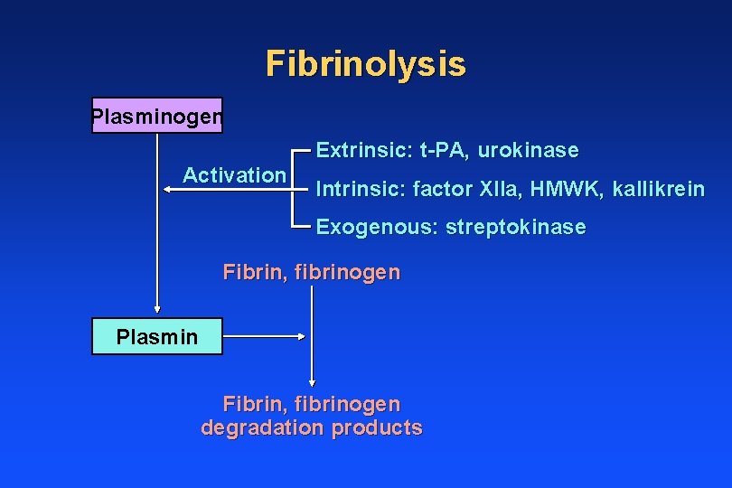 Fibrinolysis Plasminogen Extrinsic: t-PA, urokinase Activation Intrinsic: factor XIIa, HMWK, kallikrein Exogenous: streptokinase Fibrin,