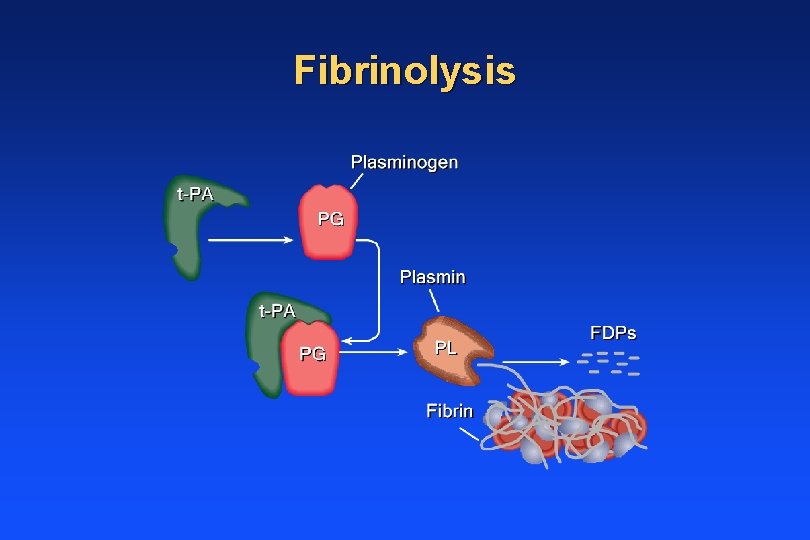 Fibrinolysis 