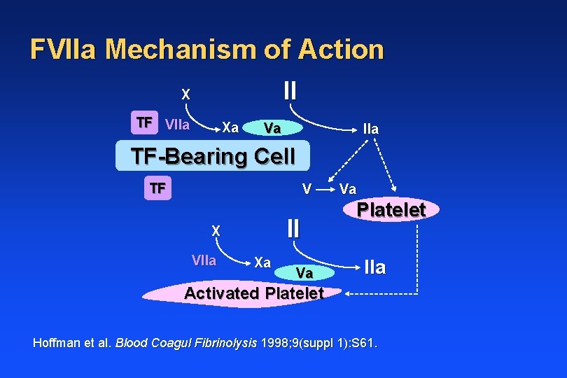 FVIIa Mechanism of Action II X TF VIIa Xa Va IIa TF-Bearing Cell TF