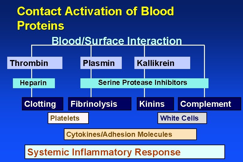 Contact Activation of Blood Proteins Blood/Surface Interaction Thrombin Plasmin Kallikrein Serine Protease Inhibitors Heparin