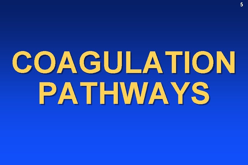 5 COAGULATION PATHWAYS 
