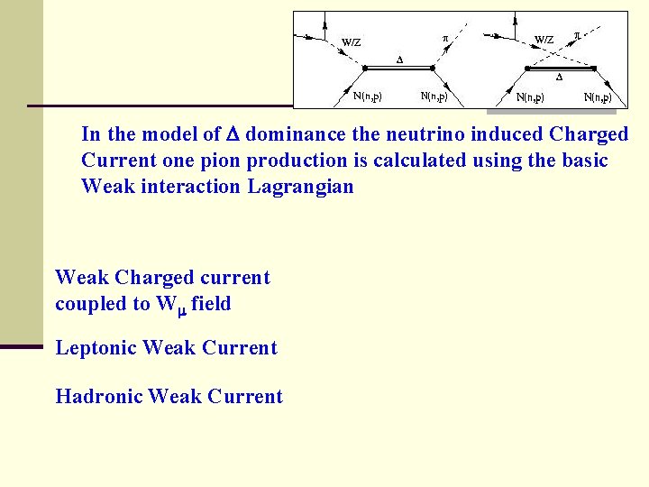 In the model of dominance the neutrino induced Charged Current one pion production is