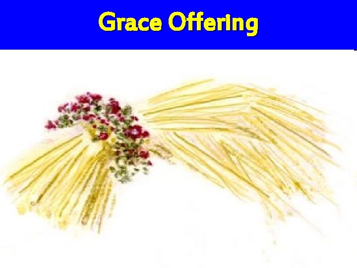 Grace Offering 