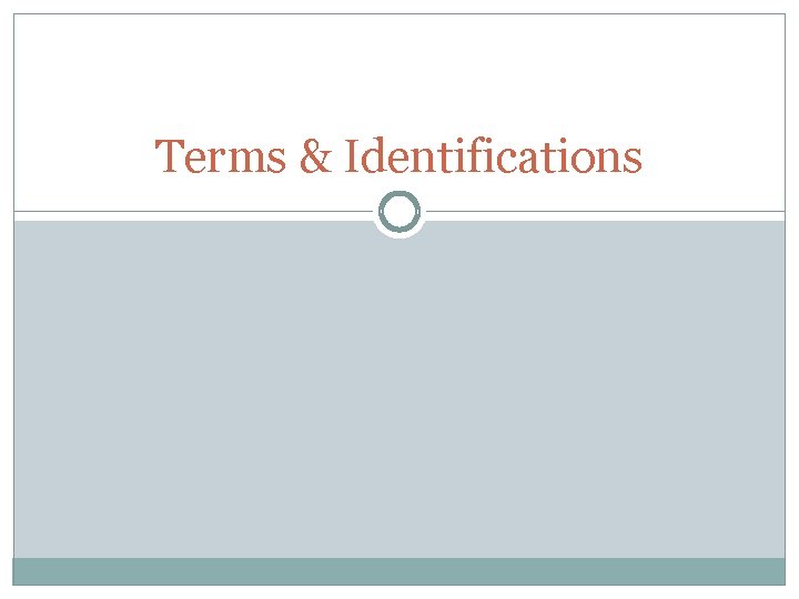 Terms & Identifications 