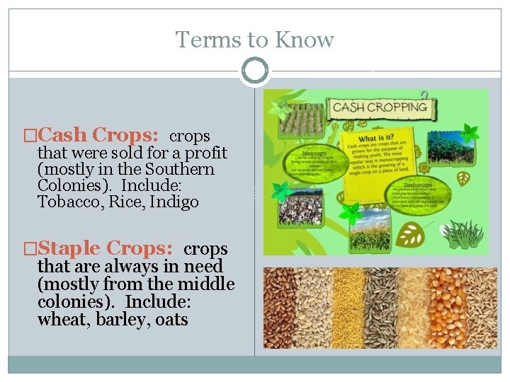 Terms to Know �Cash Crops: crops that were sold for a profit (mostly in