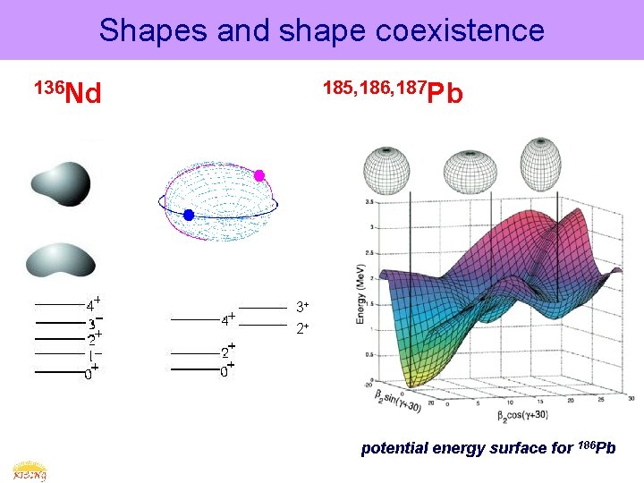 Shapes and shape coexistence 136 Nd 185, 186, 187 Pb 3+ 2+ potential energy
