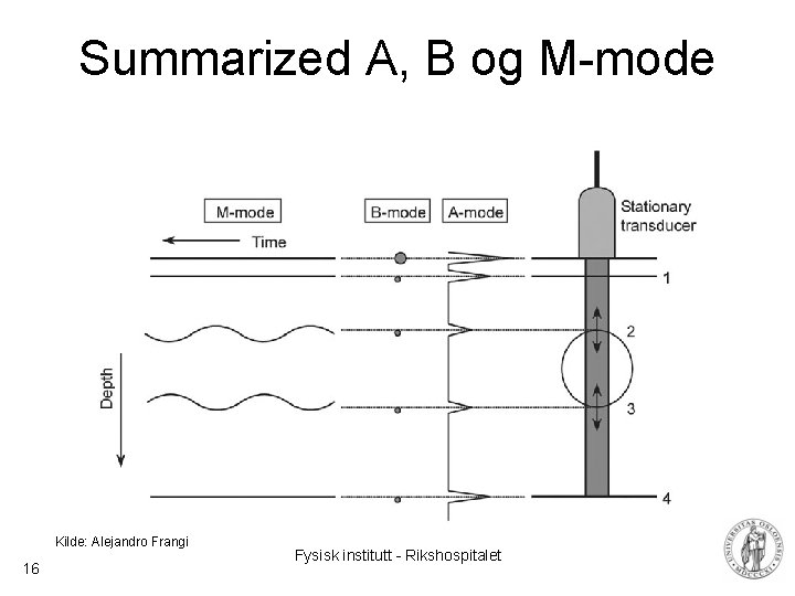 Summarized A, B og M-mode Kilde: Alejandro Frangi 16 Fysisk institutt - Rikshospitalet 