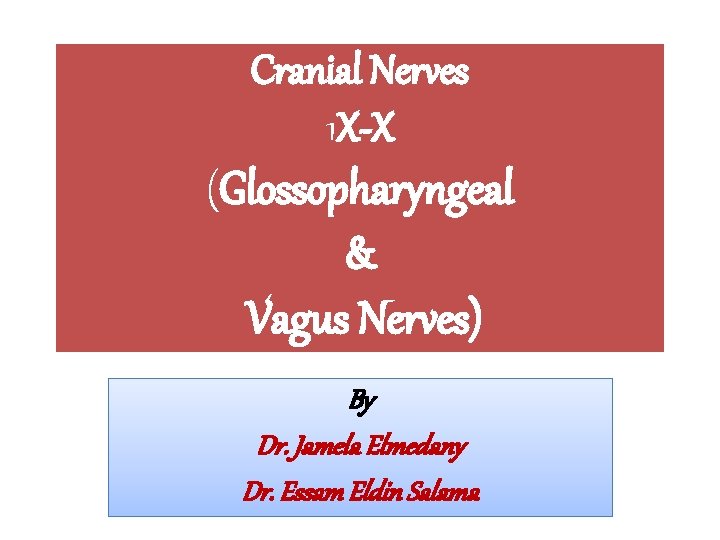 Cranial Nerves 1 X-X (Glossopharyngeal & Vagus Nerves) By Dr. Jamela Elmedany Dr. Essam