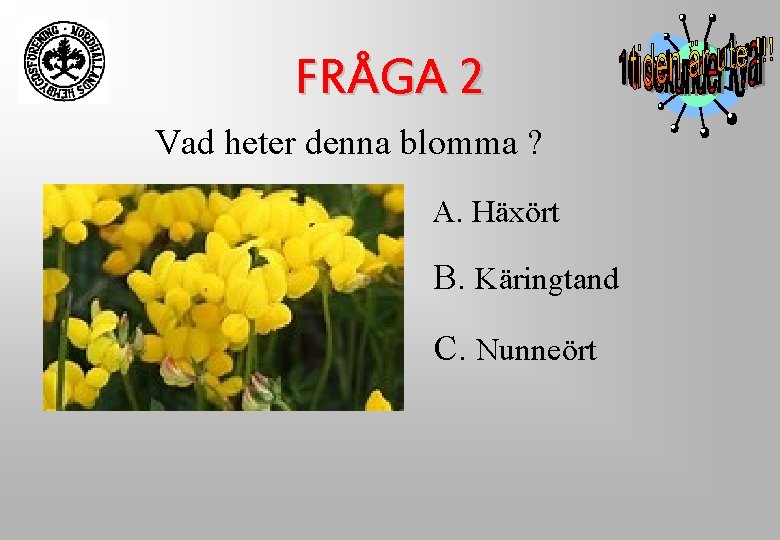 FRÅGA 2 Vad heter denna blomma ? A. Häxört B. Käringtand C. Nunneört FRÅGA 2 Vad heter denna blomma ? A. Häxört B. Käringtand C. Nunneört